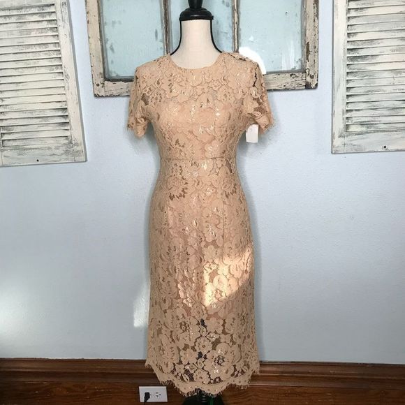 Beautiful NWT NSR Dress - Picture 2 of 14